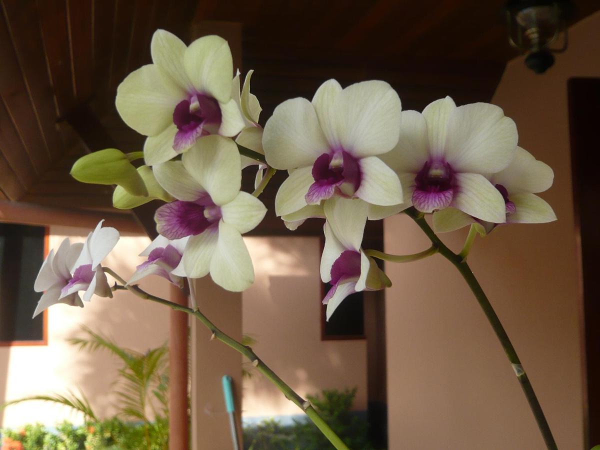 The Pace Phuket Boutique Resort Rawai Екстериор снимка